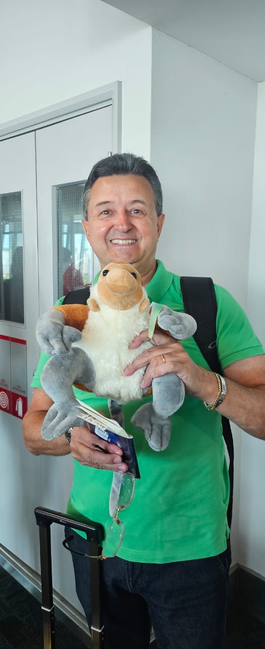 Imagem em destaque